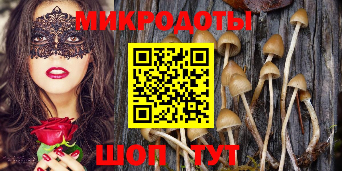 Галлюциногенные грибы MAGIC MUSHROOMS  Вход с VPN  Ивантеевка 